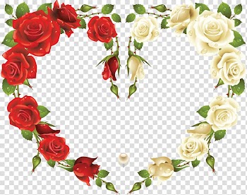Rose Frames , rose frame transparent background PNG clipart