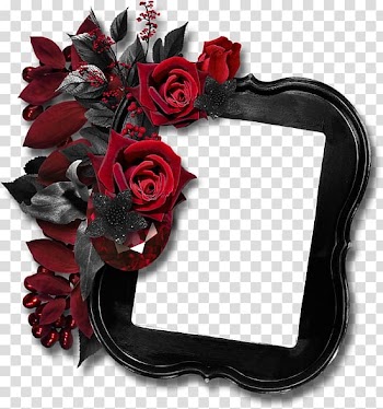Rose Frames , rose transparent background PNG clipart