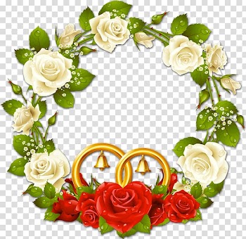 Rose Frames , rose transparent background PNG clipart