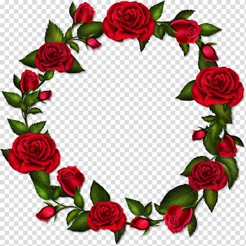Rose Frames , ucket transparent background PNG clipart