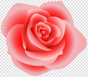 Rose Free content , Roses transparent background PNG clipart