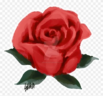 Rose From Tumblr By Ohitsjuly69x - Hybrid Tea Rose