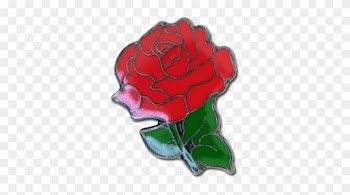 Rose Fun Badge - Garden Roses