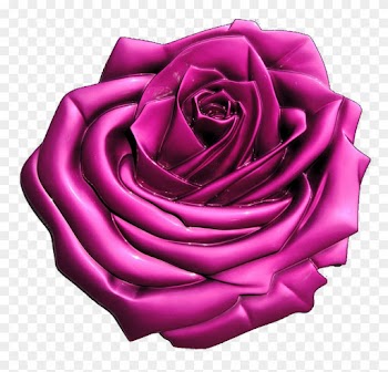 Rose - Garden Roses