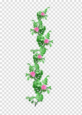 Rose gardening Flower , Plants transparent background PNG clipart