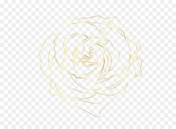 Rose Gold Line 