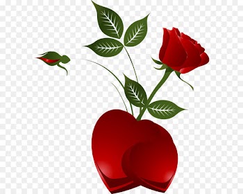 Rose Heart Clip art - Transparent Decorative Element Red Rose with Heart 