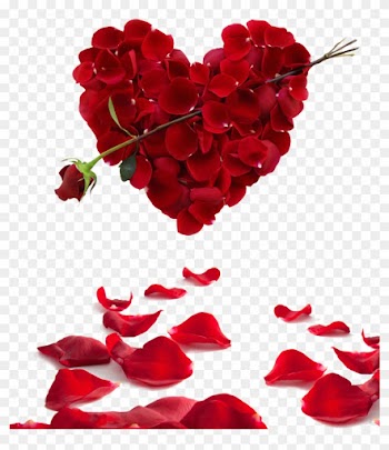 Rose Heart Flower Valentine's Day Wallpaper - Heart Hd Image S