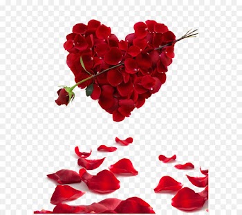 Rose Heart Flower Valentine's Day Wallpaper - petal,Heart 