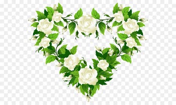 Rose Heart White Clip art - White Roses Heart Decor PNG Clipart Picture 