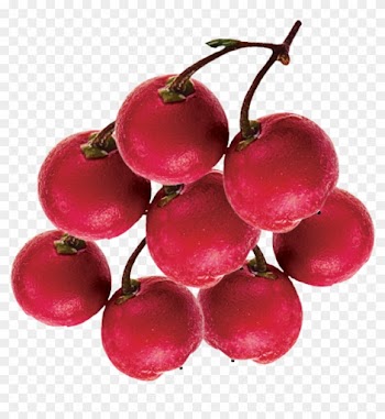 Rose Hip