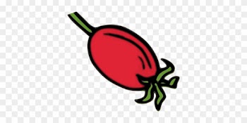 Rose Hip Pelvis Fruit Herb - Rose Hips Clip Art