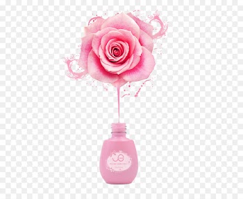Rose If(we) Download Color - Creative Nail Polish poster pink roses 
