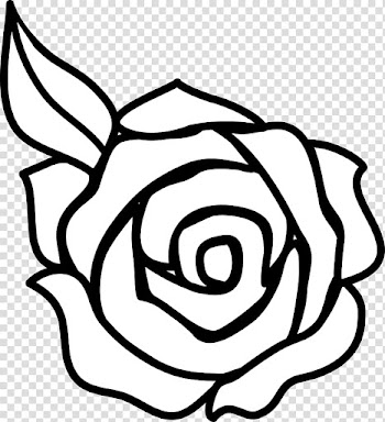 Rose illustration, Rose Outline Drawing , Rose transparent background PNG clipart