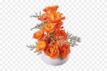 Rose Images Hd Download