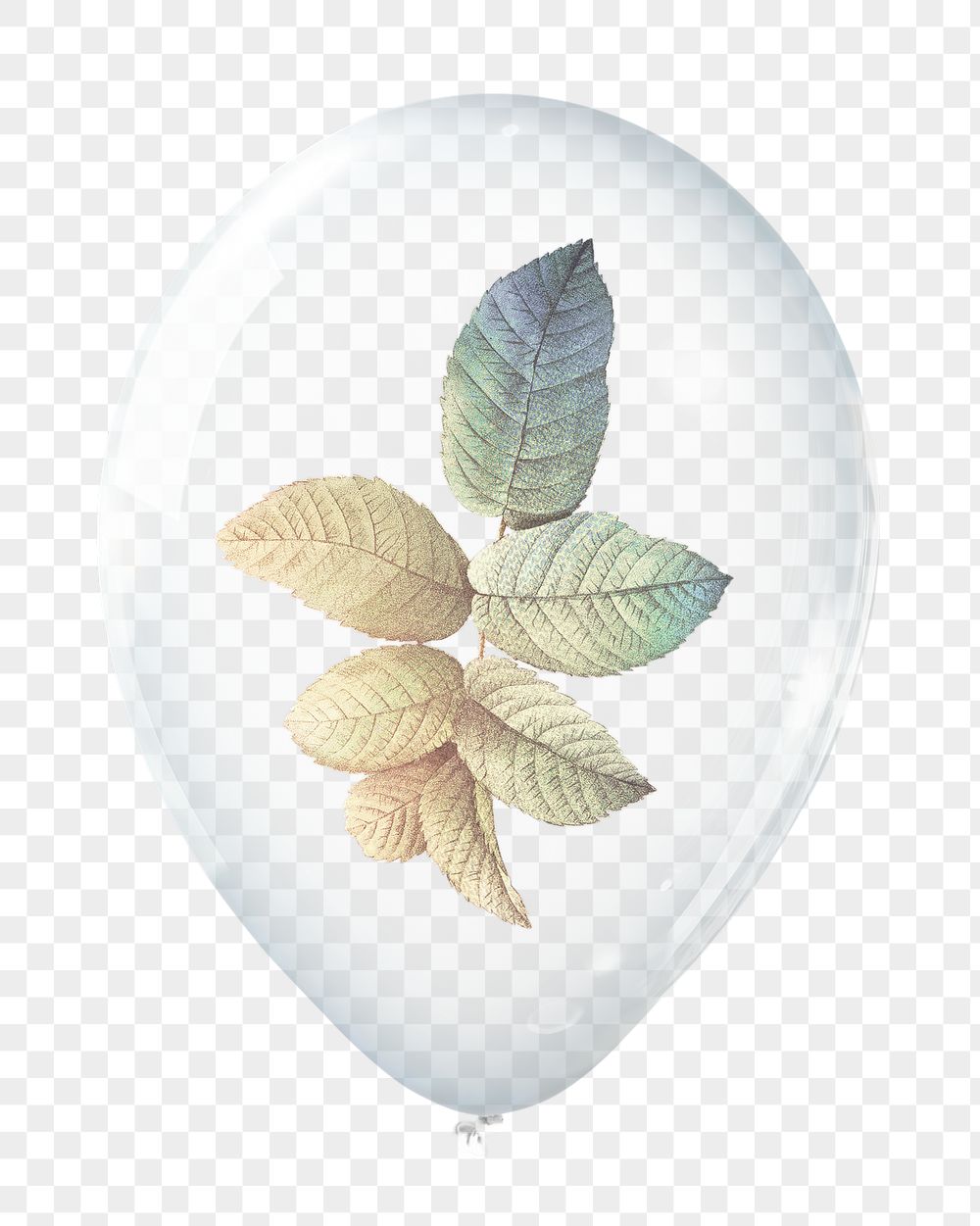 Rose leaf png, plant in clear | Free PNG - rawpixel