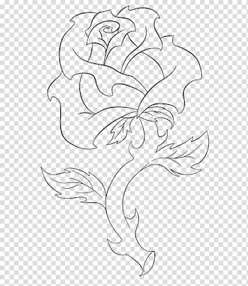 Rose Line Art, rose sketch transparent background PNG clipart