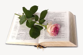 Rose on book collage element, | Free PSD - rawpixel