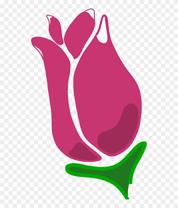 Rose Outline On Pinterest Flower - Rose Bud Vector