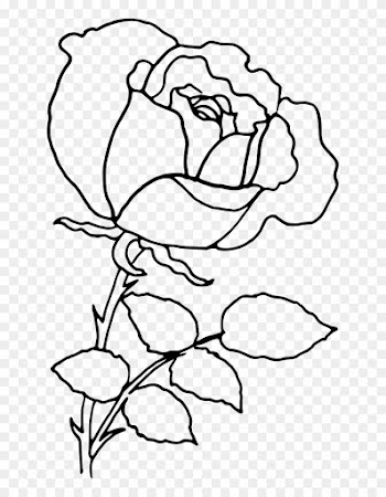 Rose Outline - Rose Outline Png