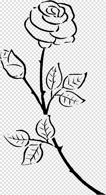 , rose outline transparent background PNG clipart