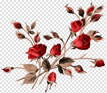 Rose Painting, rose watercolor transparent background PNG clipart