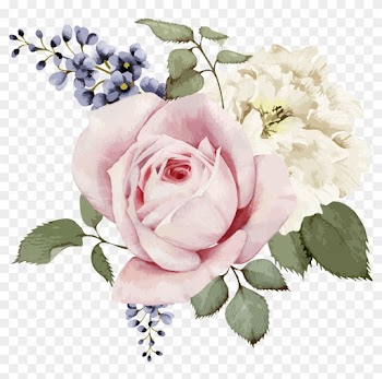 Rose Painting Stock Illustration Flower - Flower Vector