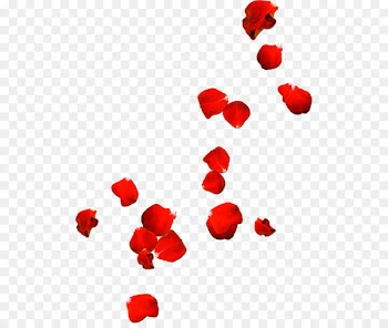 Rose Petal Clip art - Rose petals drift Valentines Day 