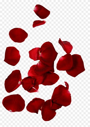 Rose Petal Flower Leaf - Rose Petal Flower Leaf
