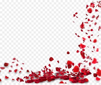 Rose Petal Flower - Rose petals floating material 
