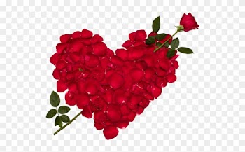 Rose Petal Heart With Arrow Photo - Love Rose Flower