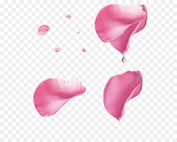 Rose Petal - Pink rose petal floating material 