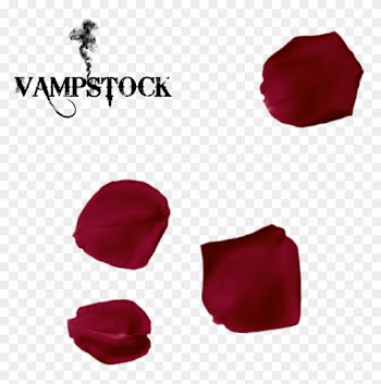Rose Petal Png 5 Vampstock By Vampstock - Single Red Rose Petals Png