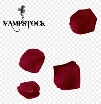 Rose Petal Png 5 Vampstock By Vampstock - Single Rose Petal Falling