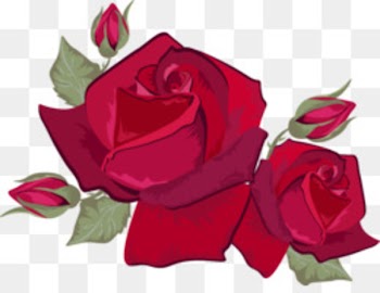 Rose Petal Stock photography Flower stock.xchng - Red rose petals image 