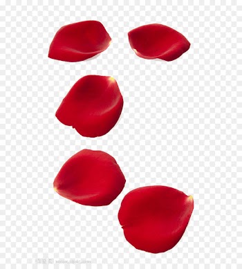 Rose Petal Stock photography Shutterstock Clip art - Rose petal 