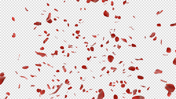 Rose Petals PNG Image