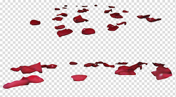 Rose Petals Transparent Images