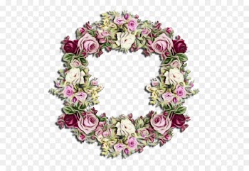 Rose, Picture Frames, Flower, Pink PNG