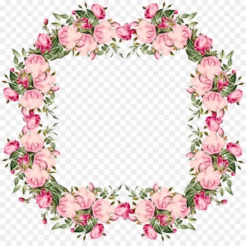 Rose, Picture Frames, Pink, Flower PNG