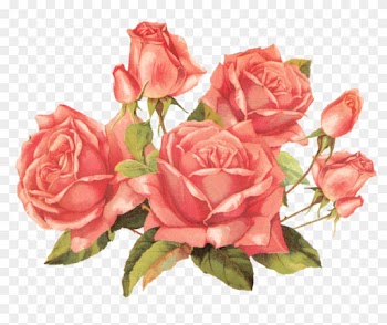 Rose Pink By Jinifur On Deviantart - Vintage Rose Png