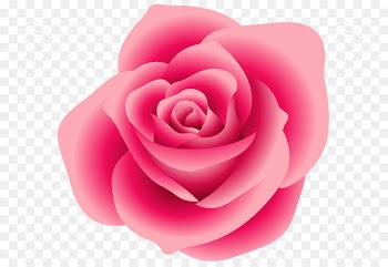 Rose Pink Clip art - Large Pink Rose Clipart 