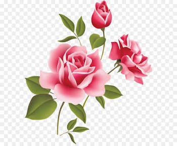 Rose Pink Clip art - Pink Rose Art Picture Clipart 