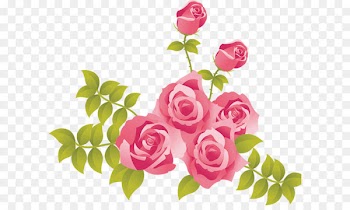 Rose Pink Clip art - Pink Roses Painted Picture Clipart 