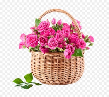 Rose Pink Flower bouquet Stock photography - gif 