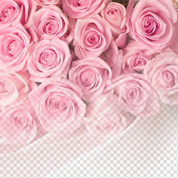 Rose Pink Flower , Rose background transparent background PNG clipart