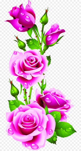 Rose Pink flowers Pink flowers Clip art - Water Drops Rose Rose Petals 