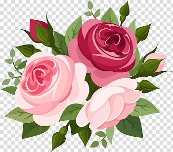 Rose Pink, rose transparent background PNG clipart
