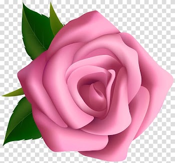 Rose Pink , rose transparent background PNG clipart