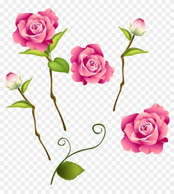 Rose - Pink Roses Butterfly Throw Blanket